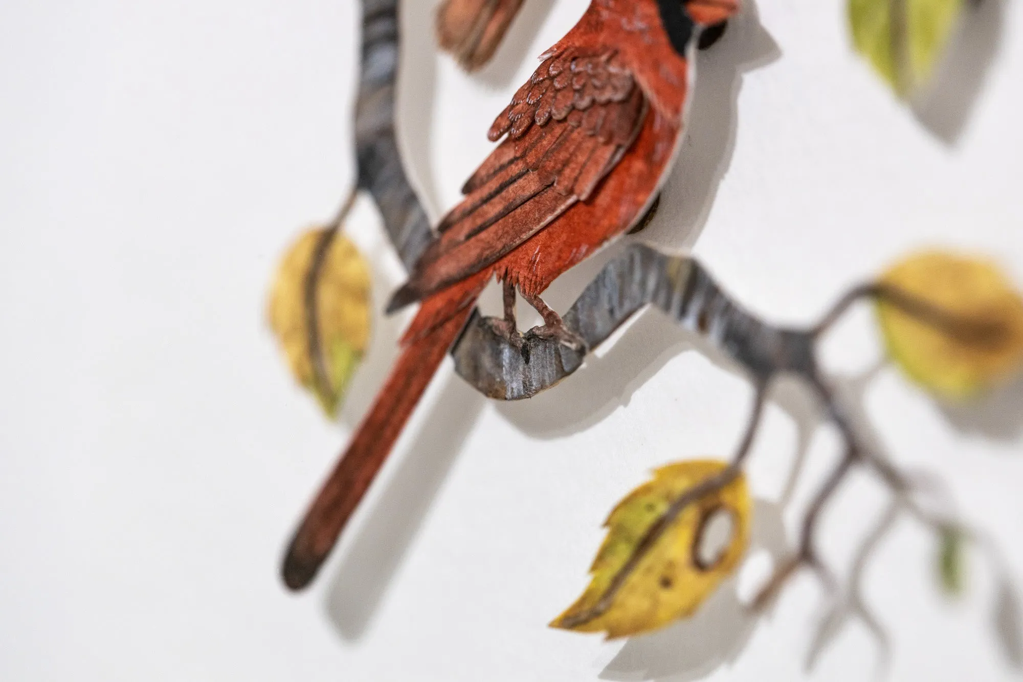 Red Cardinal couple