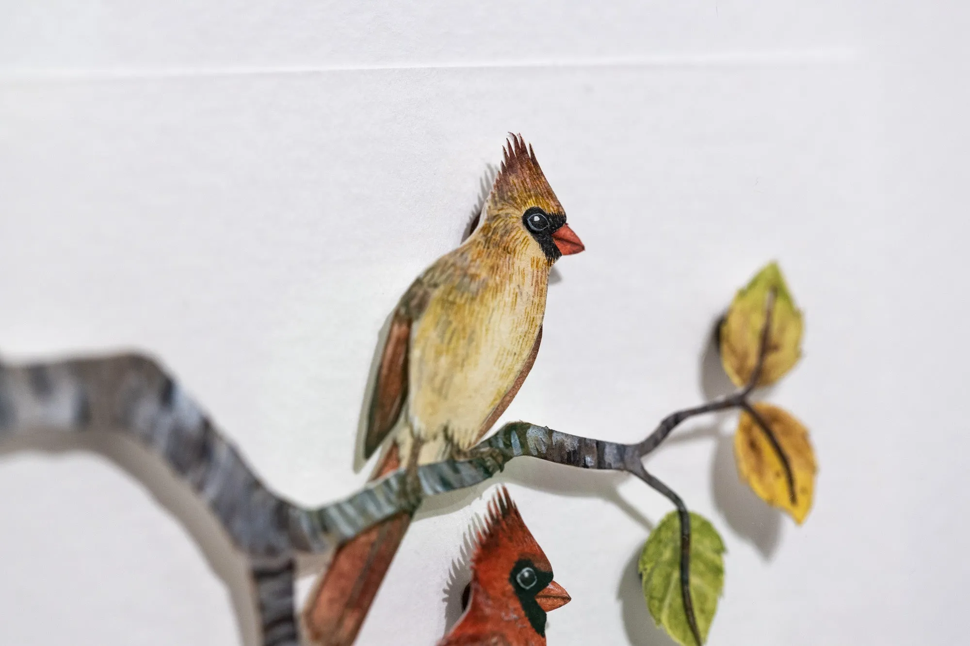 Red Cardinal couple