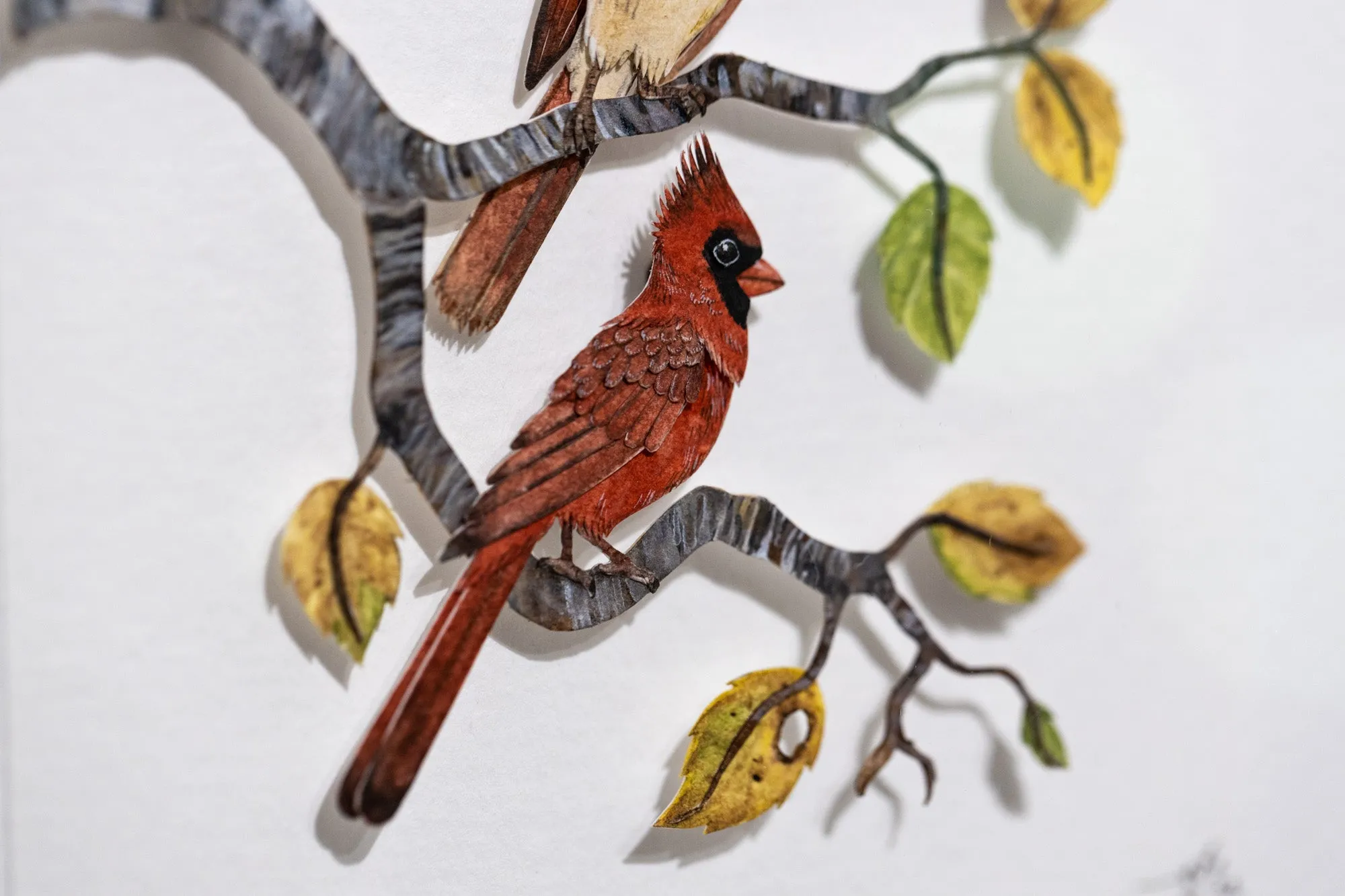 Red Cardinal couple