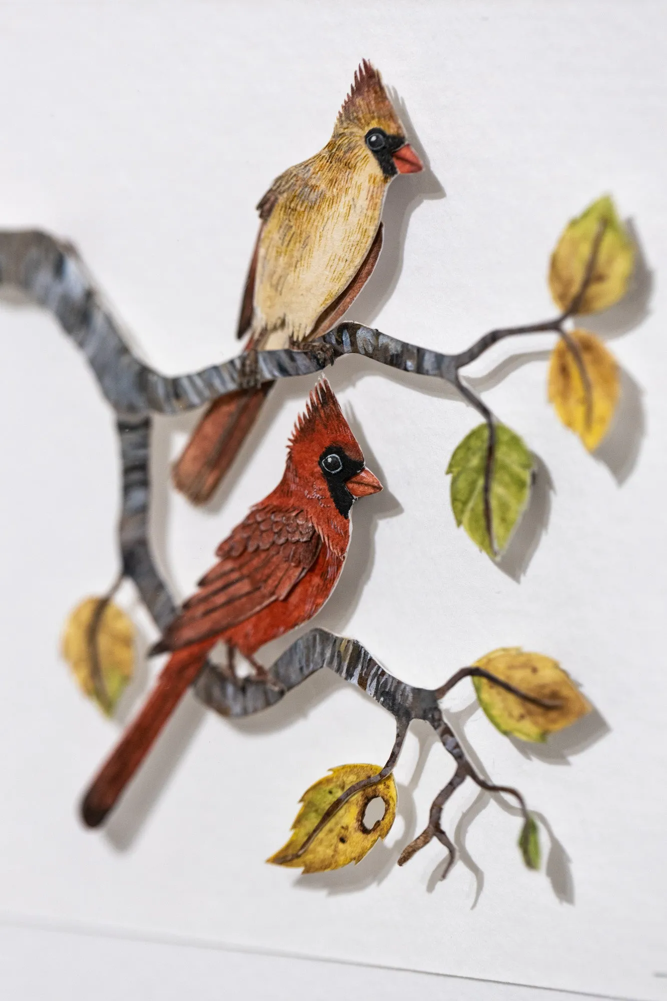 Red Cardinal couple