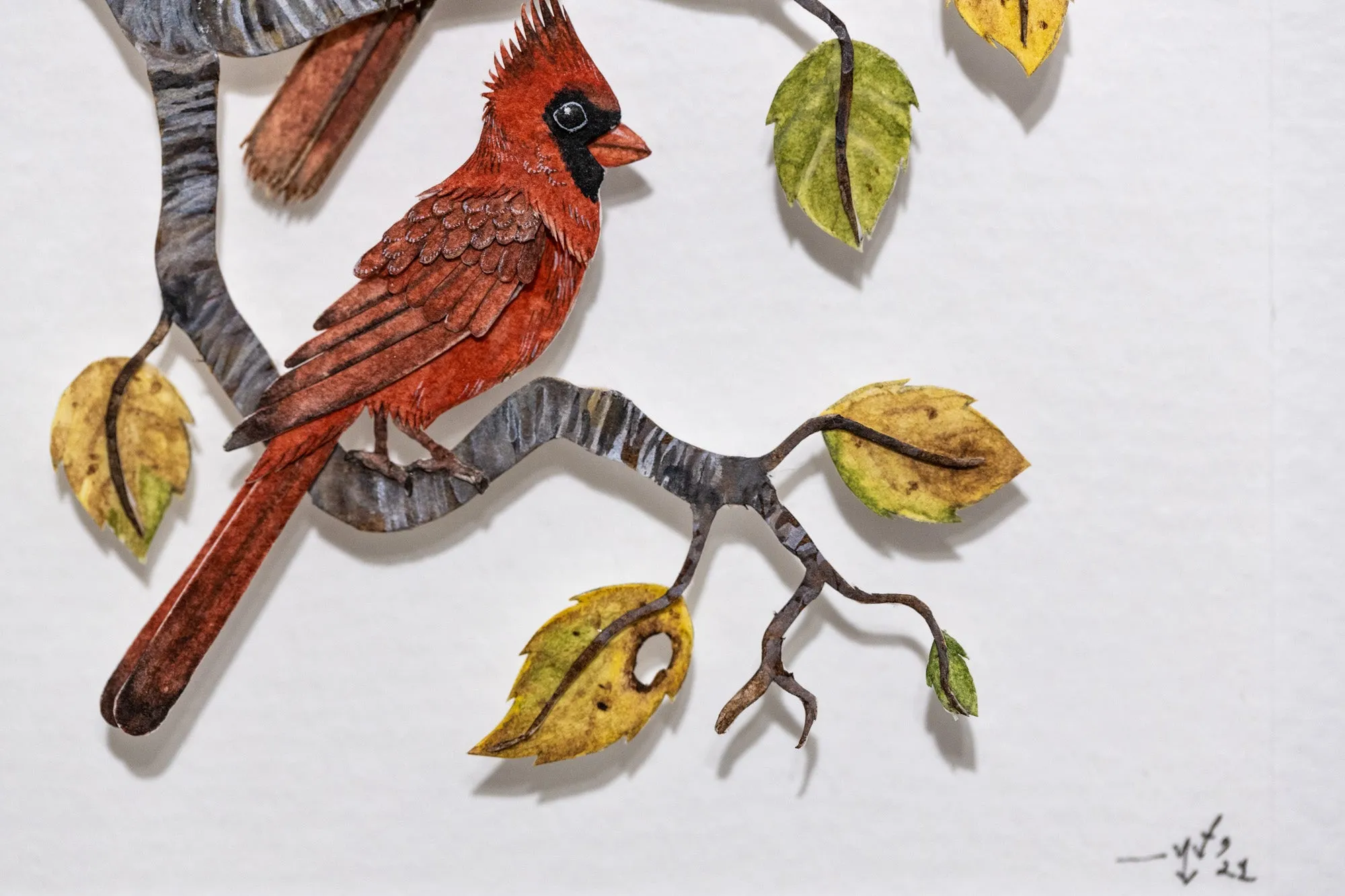 Red Cardinal couple