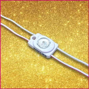 ROCK1 LED Module | IP67 | 0.3w | 12v | 150Lm/w | Buy in 1's & 200's