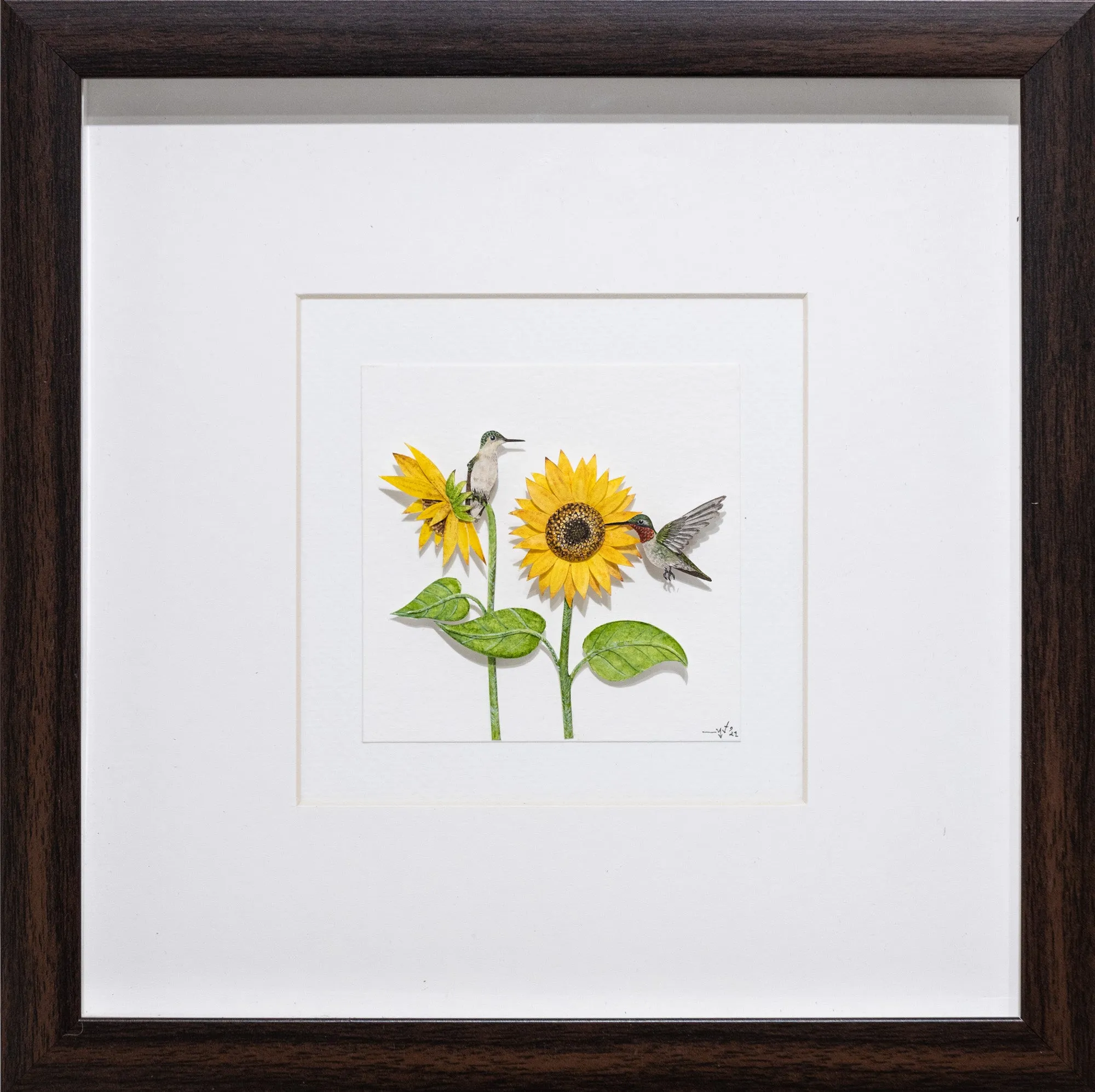 Ruby throated Hummingbird couple