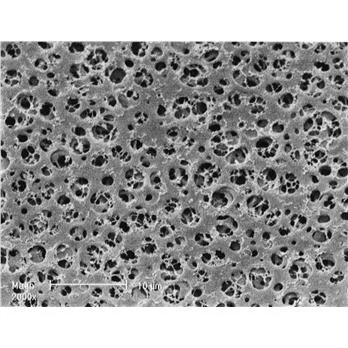 Sartorius 11105--90------G Stedim Biotech™ Cellulose Acetate Membrane Filter, 90mm 0.65µm, 25/Pk