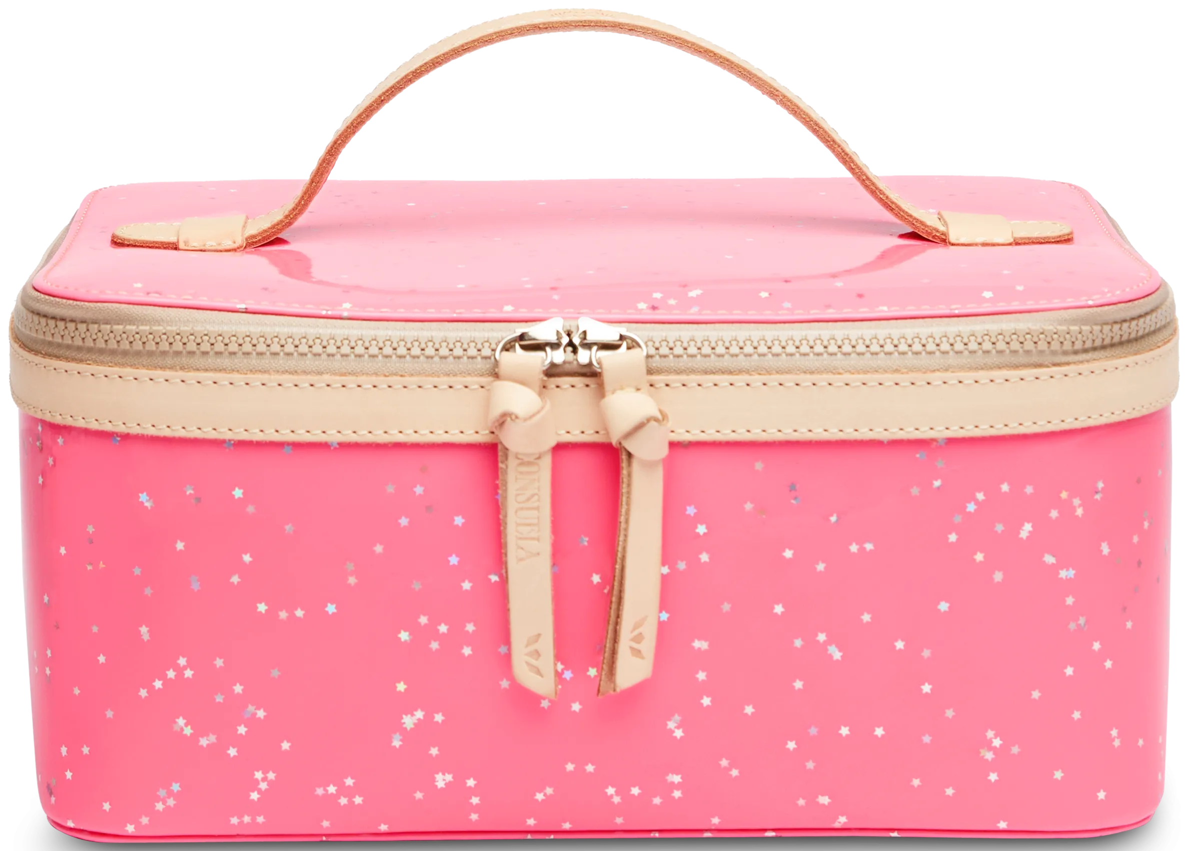 Shine Train Case