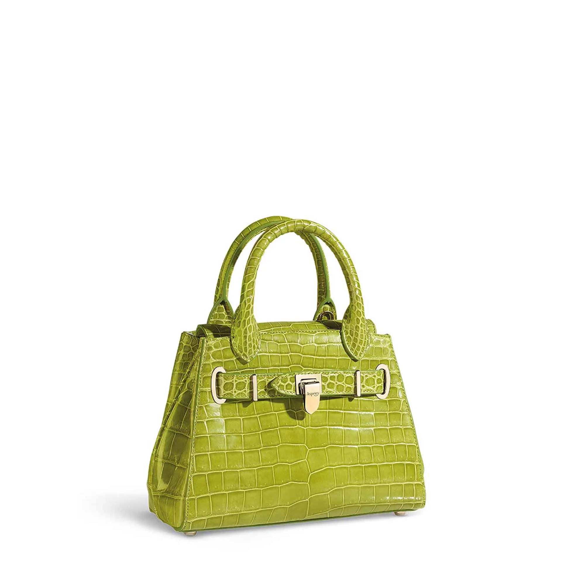 Steamer Mini Handbag in Crocodile