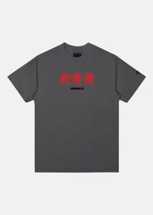 VERY EXPENSIVE TEE (CHARCOAL)