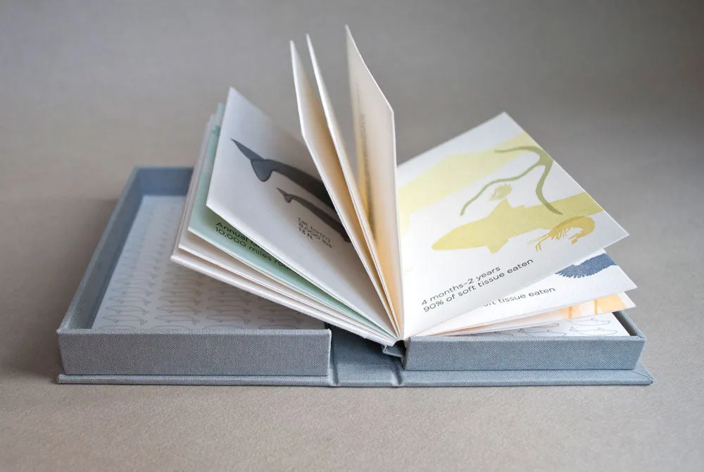 Whale Fall by Kate Barber -SOLD OUT!