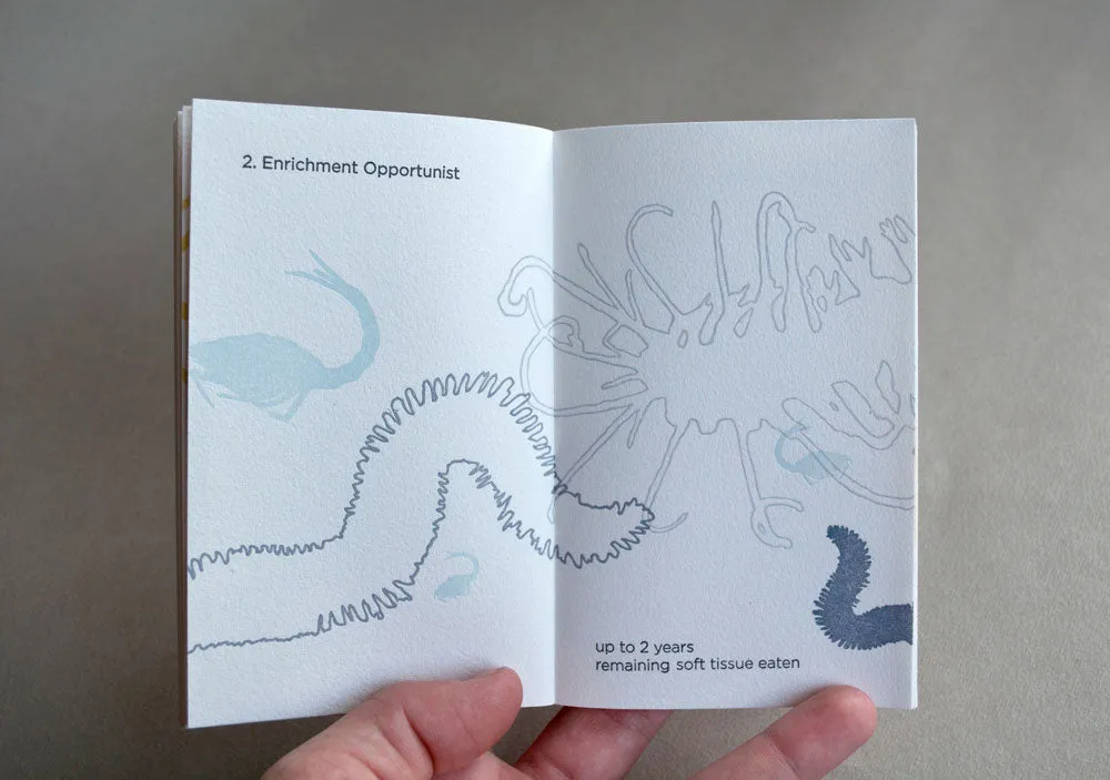 Whale Fall by Kate Barber -SOLD OUT!